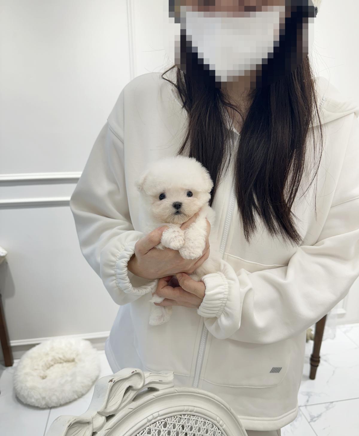 IMG_5977 오후 12.37.06.JPG