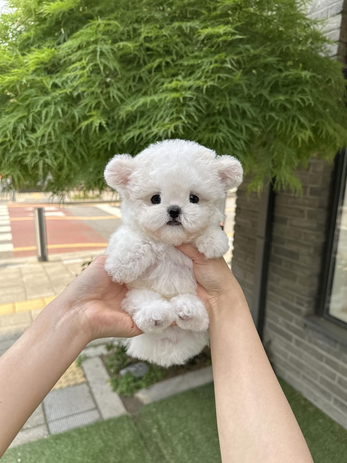 KakaoTalk_20250514_213532352_05.jpg