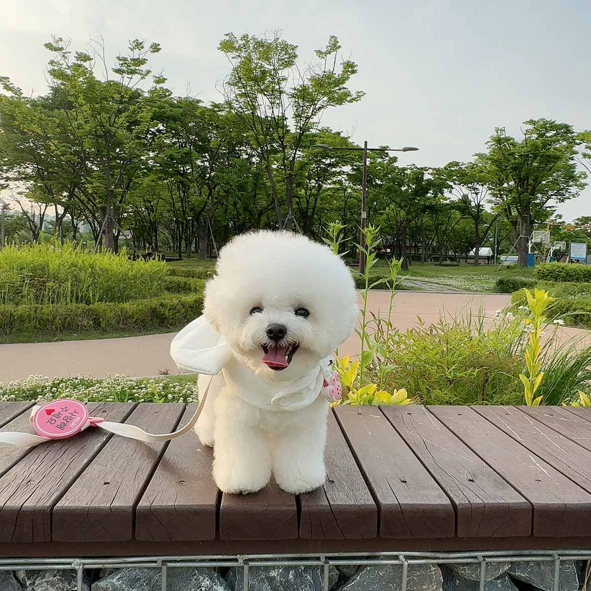 beauty_1747820335622.jpeg