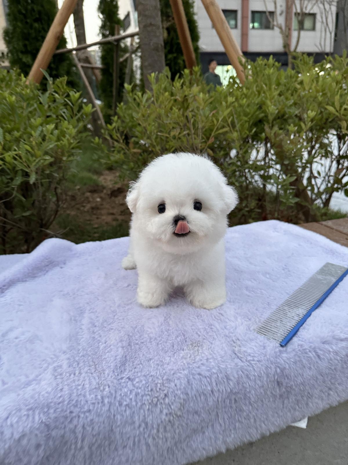 KakaoTalk_20250709_210754849_06.jpg