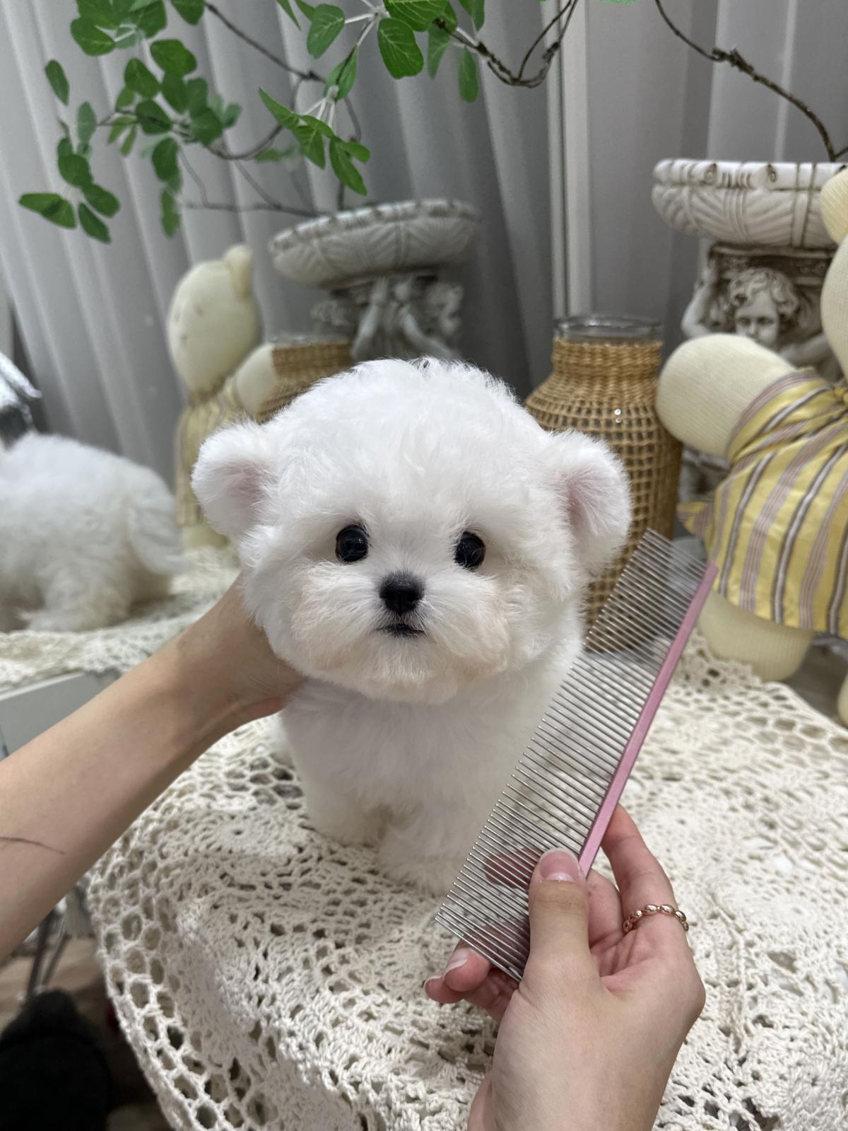 KakaoTalk_20250722_212651257_03.jpg