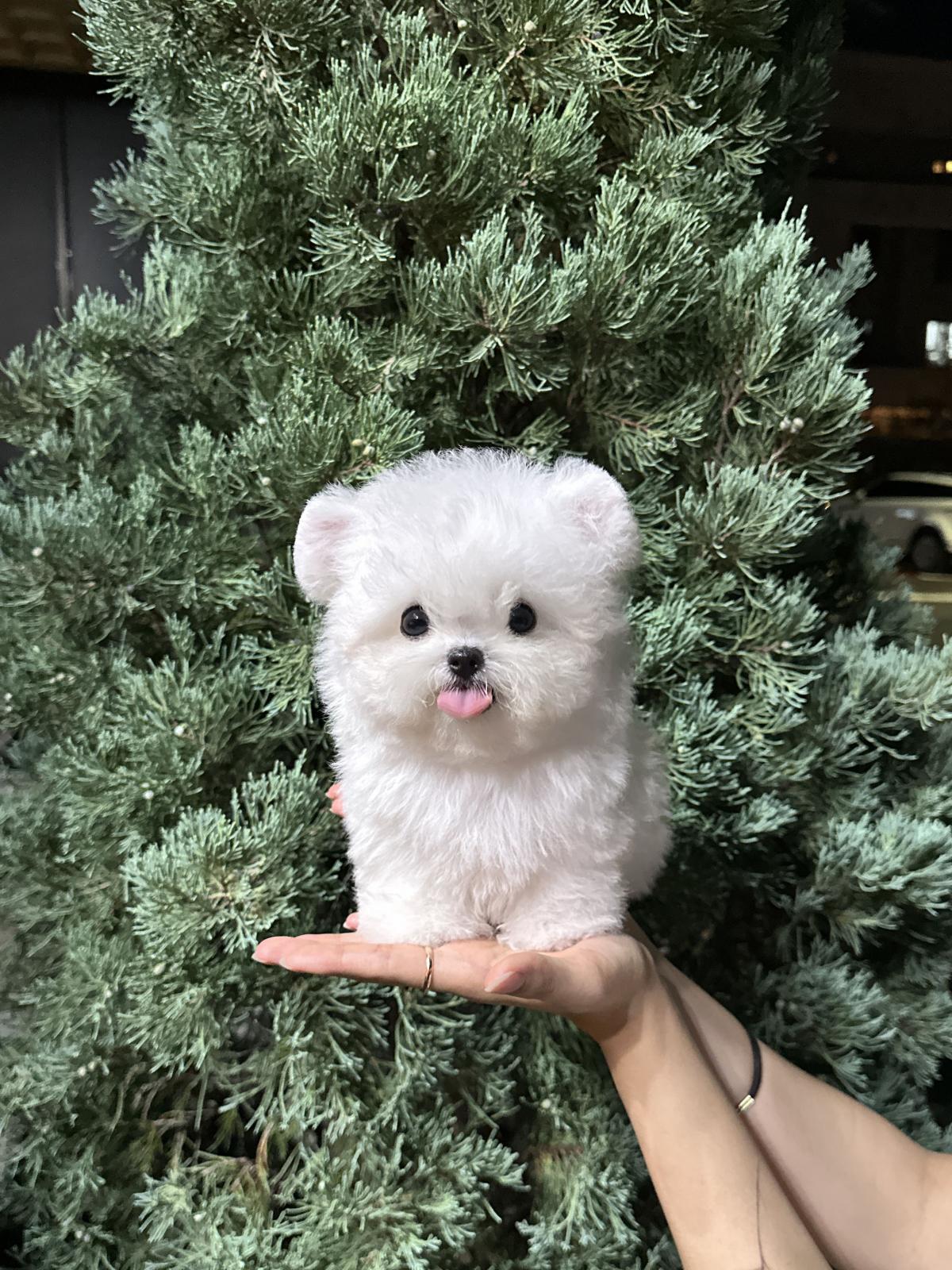 KakaoTalk_20250722_225455456_07.jpg