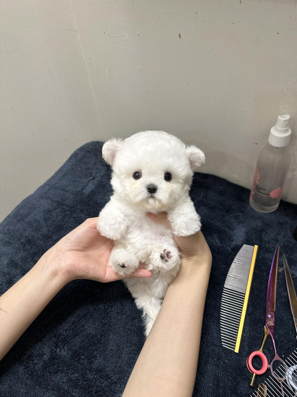 KakaoTalk_20250819_203659214_02.jpg