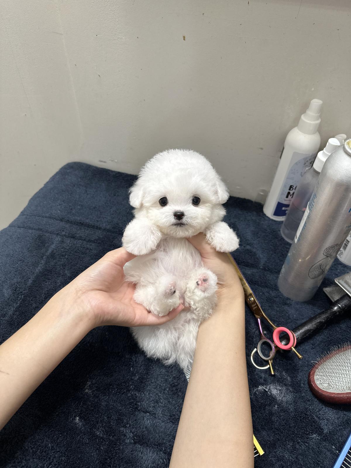 KakaoTalk_20250916_214905453.jpg