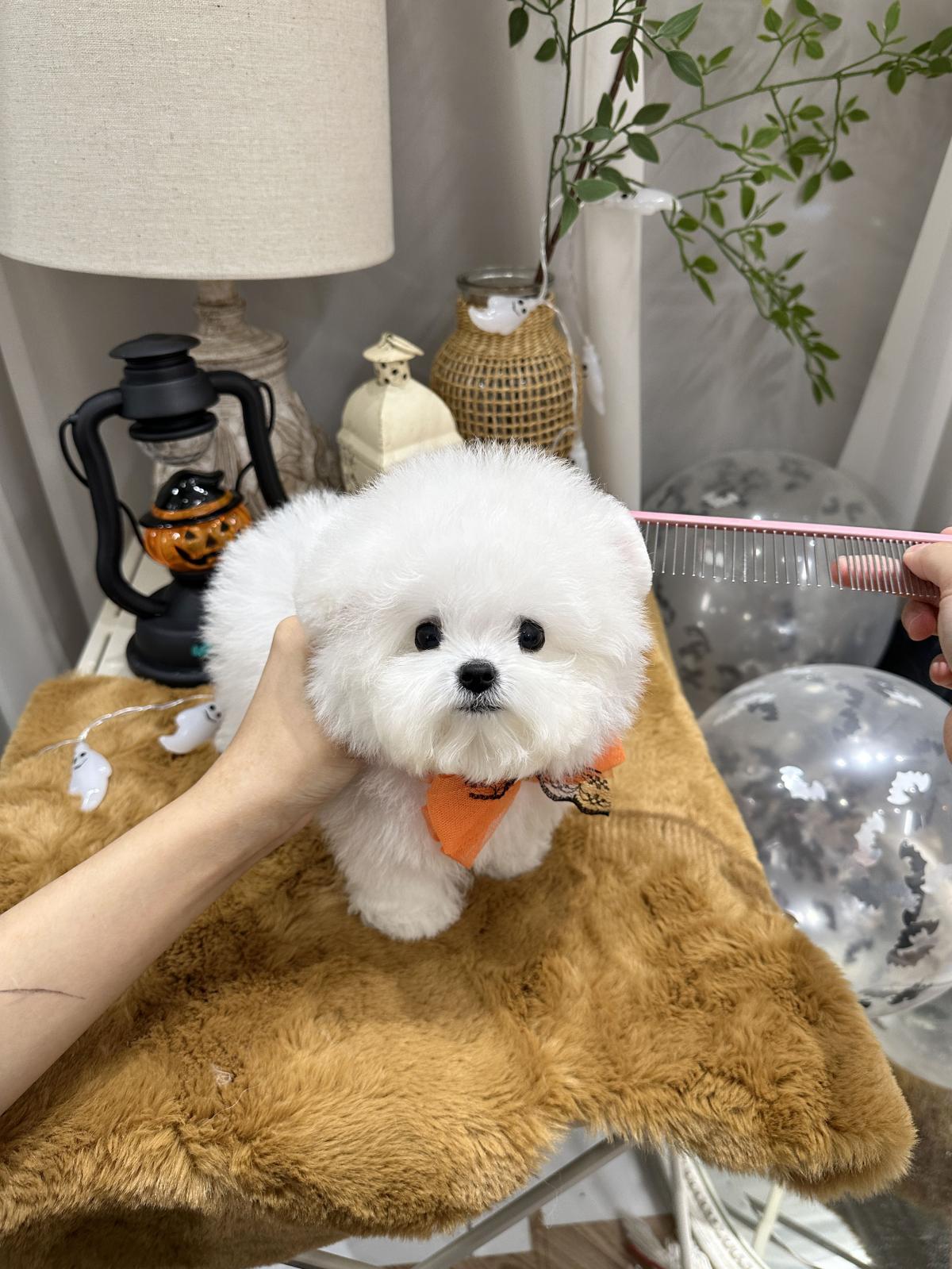 KakaoTalk_20251023_232943895_04.jpg